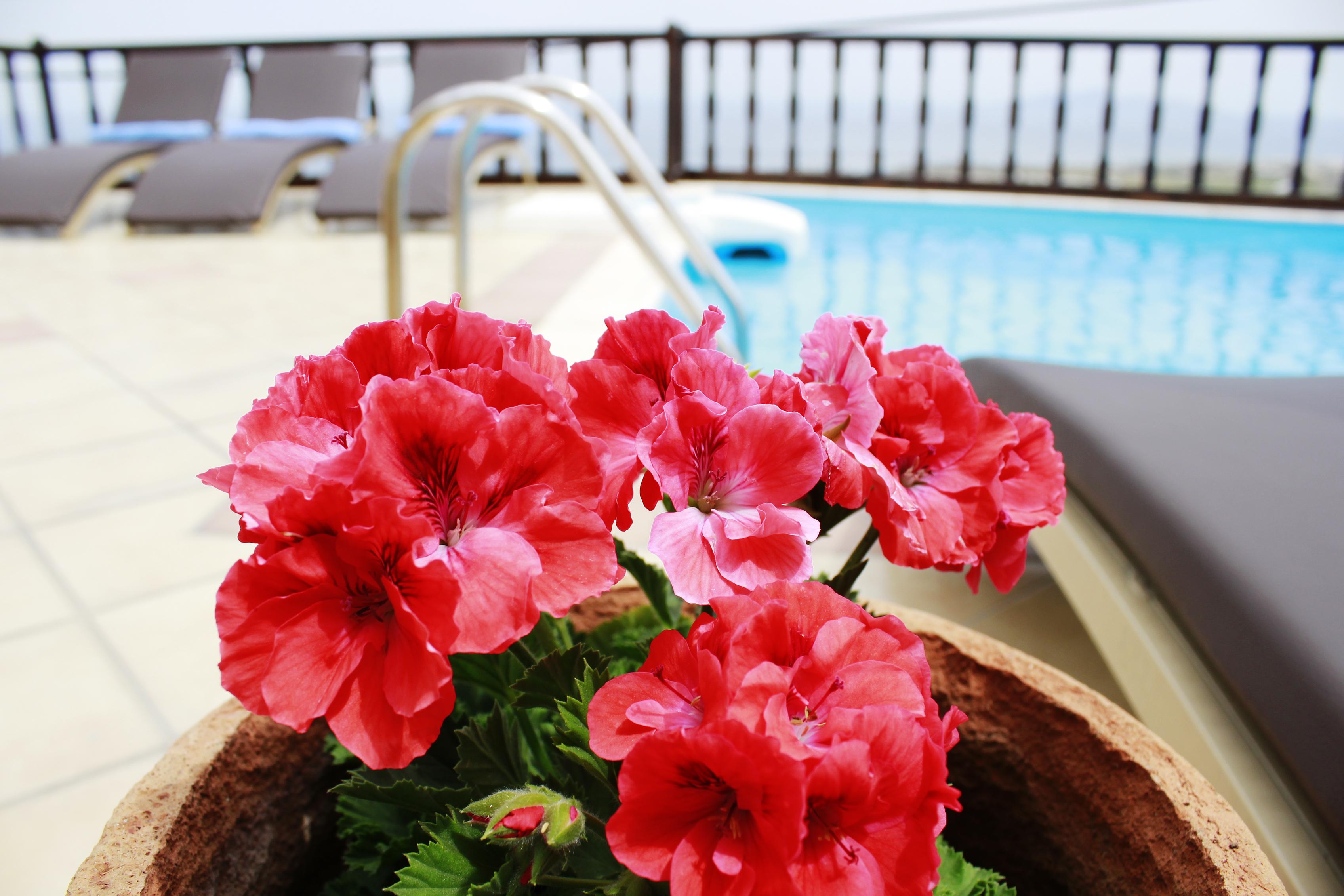 סנטוריני Amerisa Suites & Villa מראה חיצוני תמונה